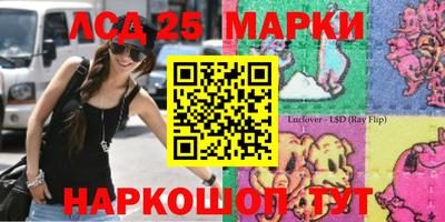 шишки Волгодонск