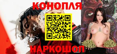 шишки Волгодонск