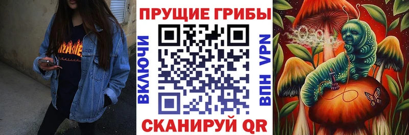 Галлюциногенные грибы мухоморы  Кизилюрт 