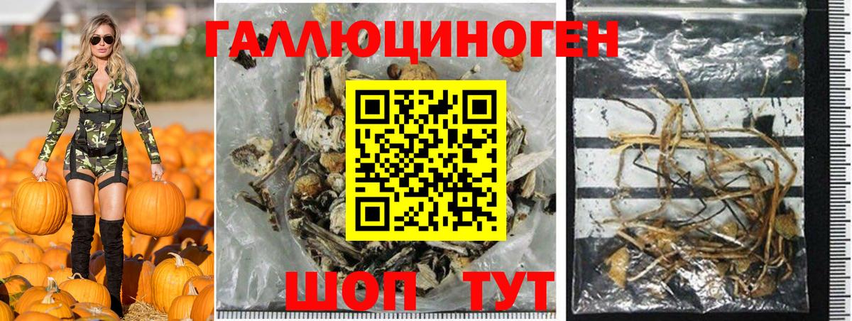 Псилоцибиновые грибы Cubensis  Псилоцибиновые грибы прущие грибы  купить наркотик  Вход с VPN  Кизилюрт 