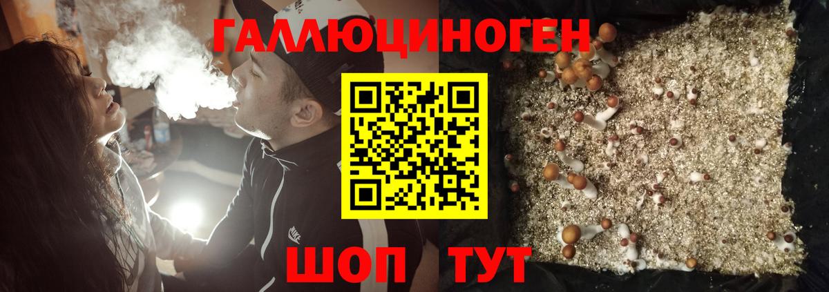 Галлюциногенные грибы мухоморы Кизилюрт